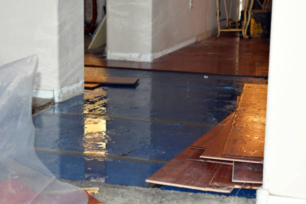 Professional Water Damage Restoration technician working in Hubbard, OH